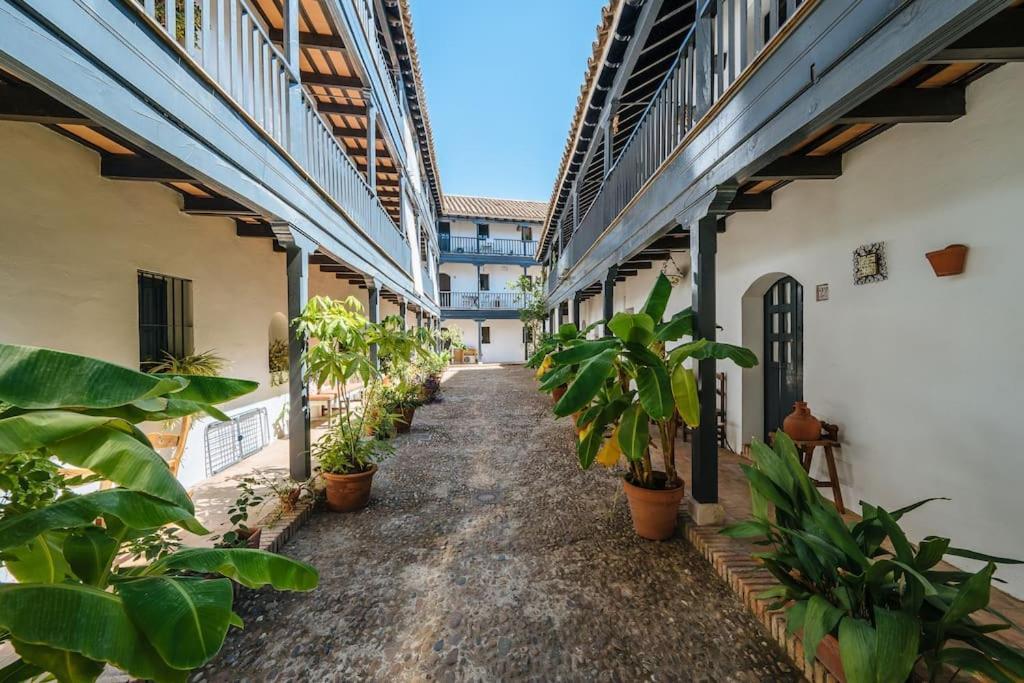 New Apartment In Traditional Building Of The XVI Century Seville Exterior photo